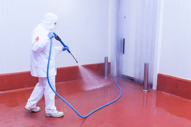 Best Spring Cleaning  in Hudson, PA